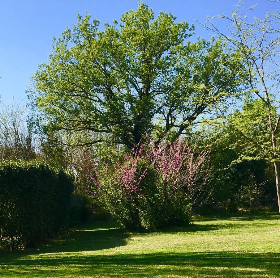 Campagne Baudeloup Panzió L'Isle-sur-la-Sorgue Kültér fotó