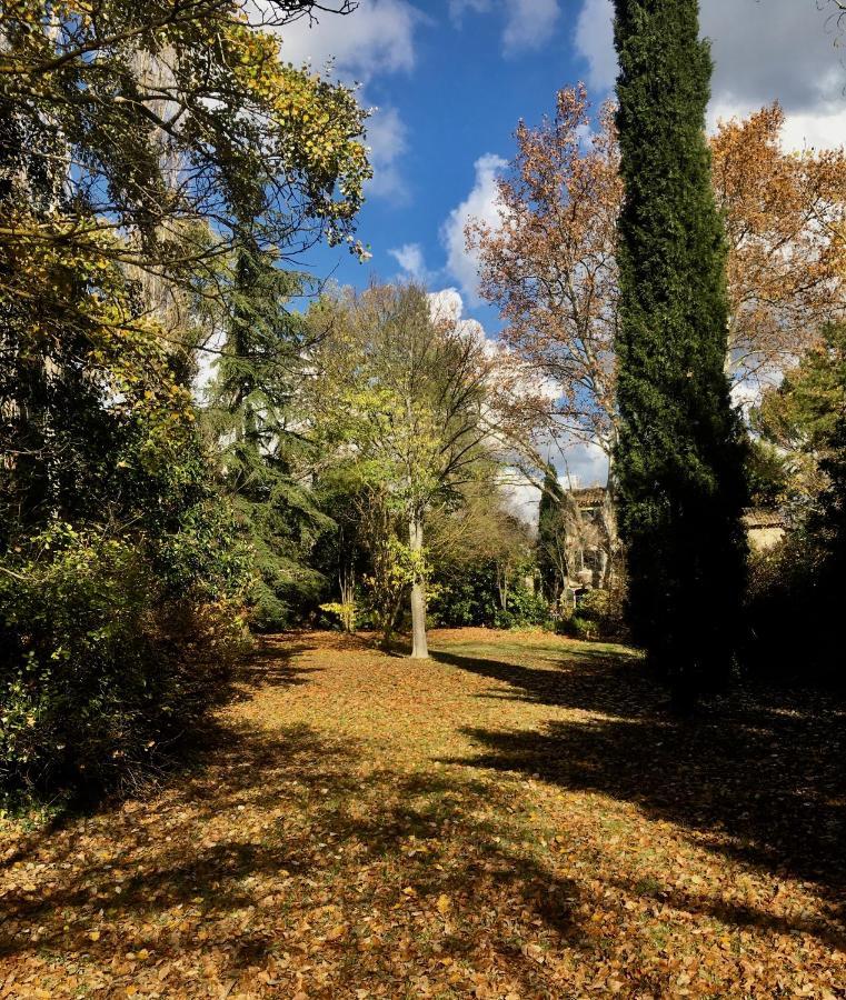 Campagne Baudeloup Panzió L'Isle-sur-la-Sorgue Kültér fotó